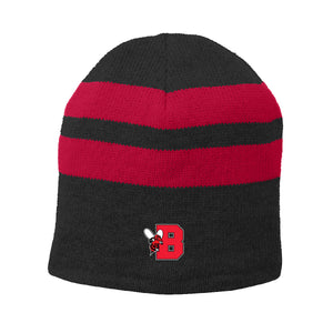 Palmer Embroidered Fleece-Lined Striped Beanie