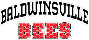 "Baldwinsville Bees" Honeycomb Decal